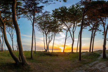 Fototapeta na wymiar Zum Sonnenuntergang am Darsser Weststrand, Karibik der Ostsee.