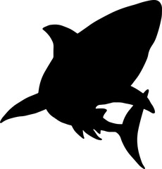 The Shark illustration for wild life or ocean concept.