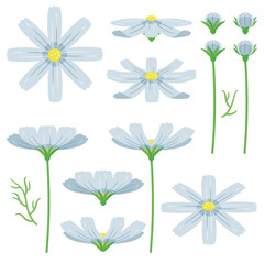 白のコスモスセット1