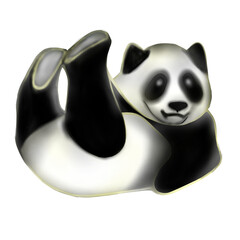 panda bear © Nittaya