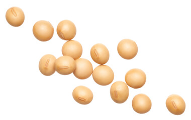 Soybeans isolated