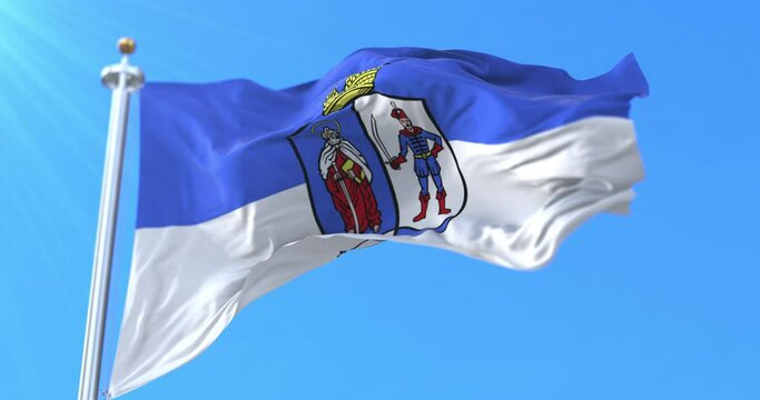 Flag of Bacs Kiskun County, Hungary. Loop