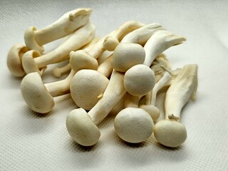 mushrooms on a wooden board