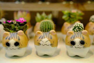 Cute cat ceramic pot with flowers and plants