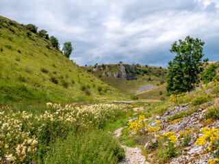 beautiful scenery of peak district hills and valleys between rock formations with flowers and green 
grass and blue sky