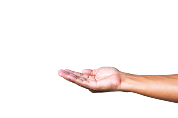 Male hand to hold something isolated on white background.
