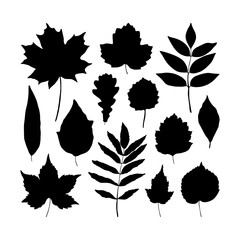 Set of black silhouettes of tree leaves isolated on white background. 