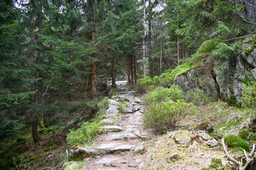 Wanderung von Spindlerm&uuml;hle zur Elbebaude nahe Elbequelle