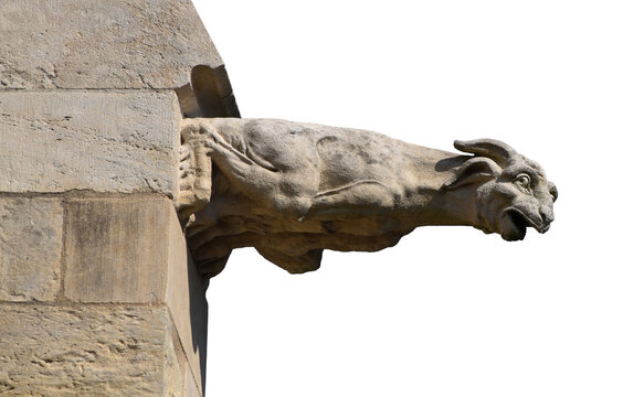 A gargoyle at the Nevers Cathedral (in France) isolated on the transparent background