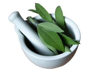 Mortar and pestle with fresh picked herbs sage. Sage herb Salvia officinalis, food background. Alternative medicinal plants, medical herb copy space