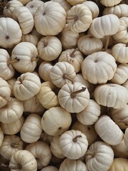 Pile of many harvested white pumpkins at farmers market. Autumn fall seasonal background
