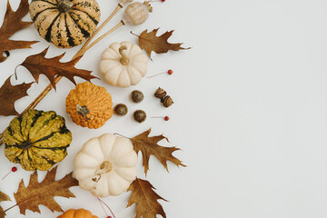 Autumn fall composition. Dried oak leaves, acorns, pumpkins on white background with copy space....