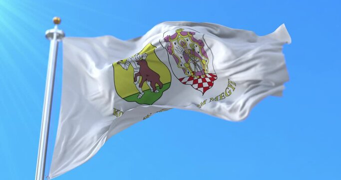 Flag of Komarom-Esztergom County, Hungary. Loop