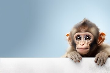 Baby monkey on minimalistic blue background. AI generated