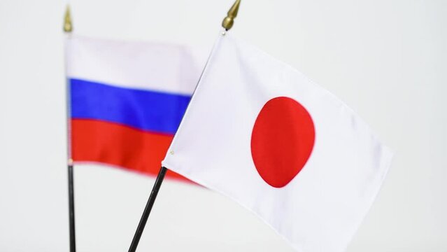 A flag waving in the wind