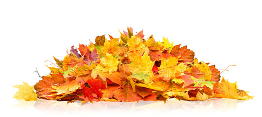 pile of autumn leaves isolated on white background - 628797929