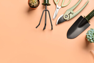 Fototapeta na wymiar Set of gardening tools on beige background