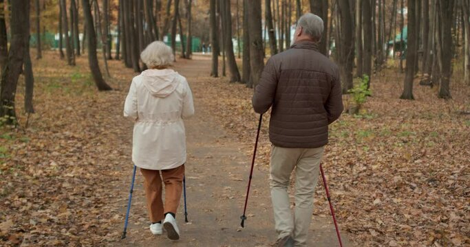 elderly Caucasian man and his wife wearing stylish coats are practicing Nordic walking in beautiful autumn forest, back rare view Slow motion
