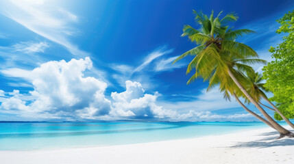 Fototapeta na wymiar White sand and cloudy blue sky, beautiful tropical palm trees beach background. Generative ai