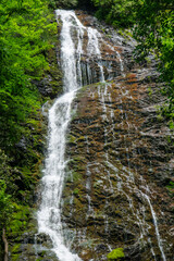 waterfall in the forest