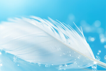 Transparent white light airy soft feather background. Generative ai