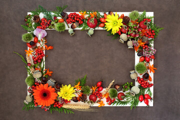 Autumn Fall Samhain harvest festival nature background border concept with flowers, leaves, berry fruit, nuts with white frame on brown lokta paper. Thanksgiving abundance concept. 
