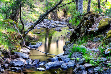 Reflejos en el arroyo del Sestil