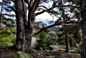 Obraz premium Picos de Urbión.