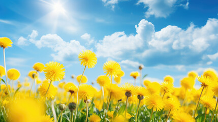 Fototapeta premium Many yellow dandelion flowers and cloudy blue sky in nature in spring. Generative ai