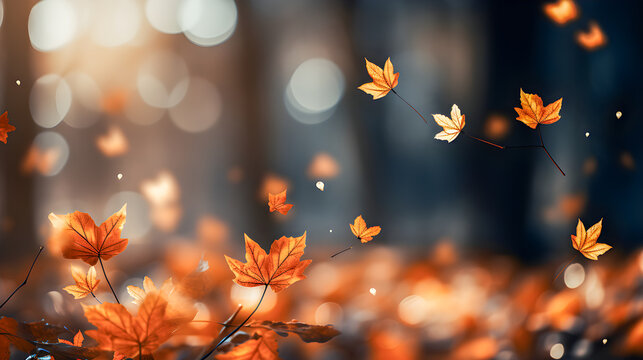 Autumn landscape and background with autumn maple leaves flying and falling. Autumn season wallpaper. Copy space.
