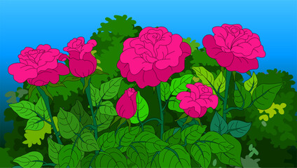 Flowers growing in the garden. Rose bush on green background - Vector