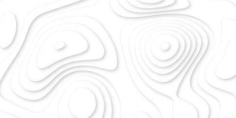 Abstract wavy line 3d paper cut white background. Abstract curve line white background. Soft smooth lines curving abstract white paper cut banner. White waves decorative papercut design.