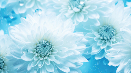 Blue white Dandelion flower and seeds close-up background. Generative ai