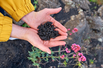 Hiking on tallest volcano in Continental Europe - Etna. Black sand lava-rocky terrain of Mount Etna in the hands of the woman.