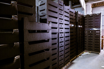 Assembled black cardboard boxes in warehouse. Fruit trays. Packaging of finished products in industrial production.