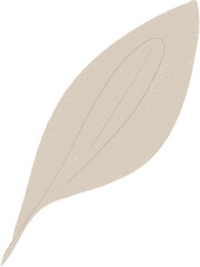 Hand drawn Abstract Plant Illustration