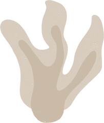 Hand drawn Abstract Plant Illustration