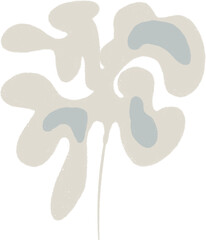 Hand drawn Abstract Plant Illustration