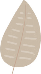 Hand drawn Abstract Plant Illustration