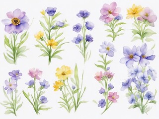 Hand-painted watercolor meadow flowers spring background