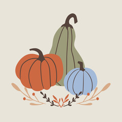 Beautiful colorful pumpkins. Card  for Thanksgiving. Seasonal vector background design.