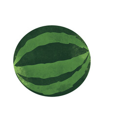 watermelon illustration