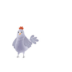 chicken isolated on white