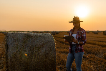 Determined farmer checks hay bale moisture with a tablet. Harmony of tradition and technology....