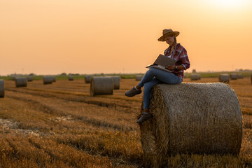 Female farmer inspects lush straw fields, taking a break, she sits on a bale, enjoying peaceful...