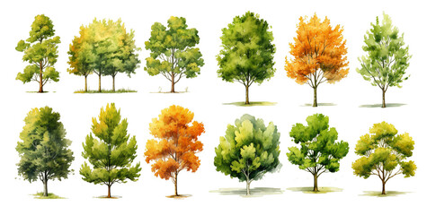Collection of trees. Generative ai
