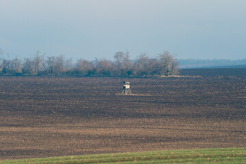 Hunting ambush in a field.