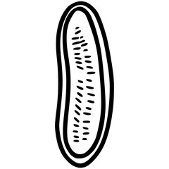 Half cut cucumber doodle 