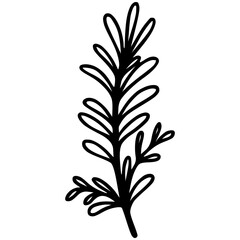 Hand drawn rosemary branch doodle