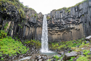 Svartifoss Waterfall - Iceland